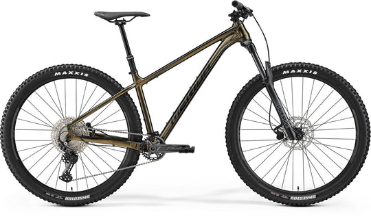 BIG.TRAIL