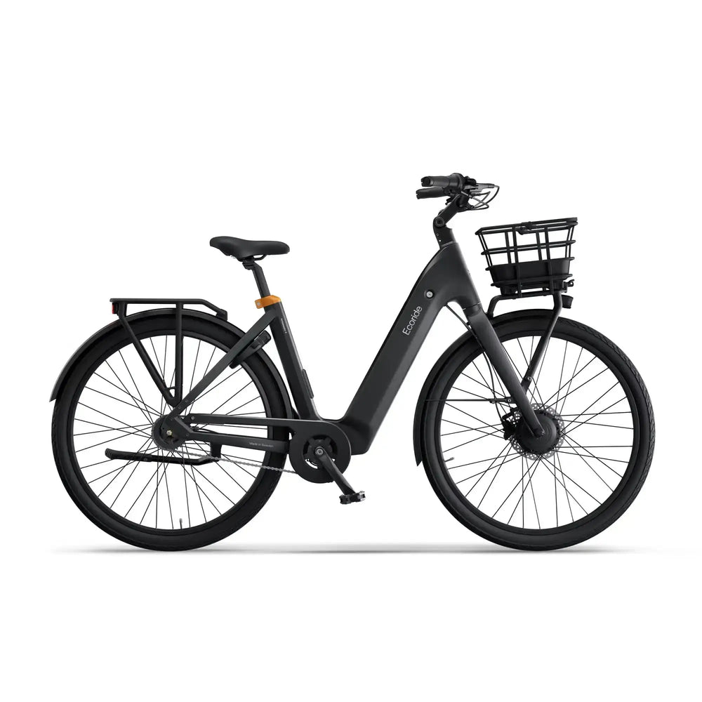 Ambassador 4 Ecoride 