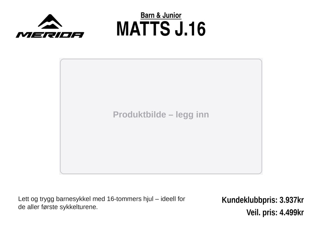 Matts J.16 (424)