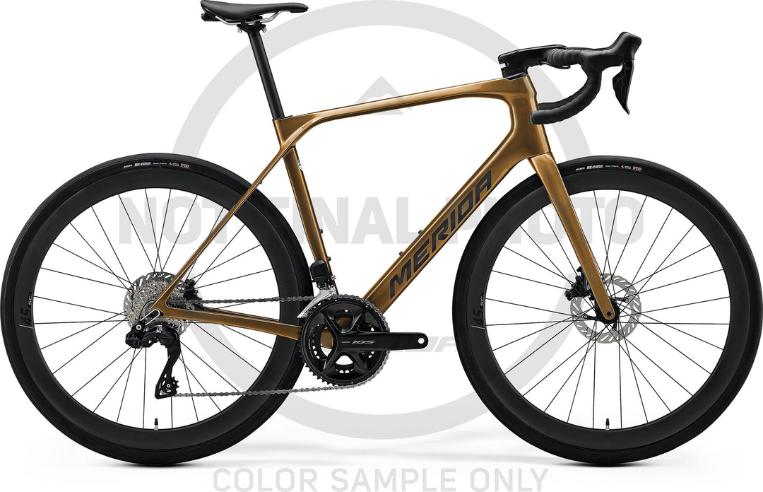 Scultura Endurance 6000 (731) – Mineral Gold / Black