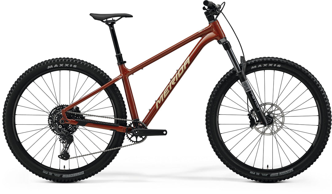 Big.Trail 500 (151)