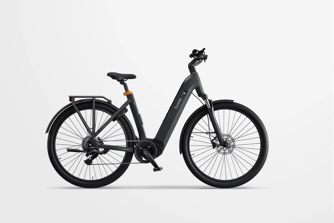 Økorid– Prisvinnende sykkel fra Ecoride eltempo.no