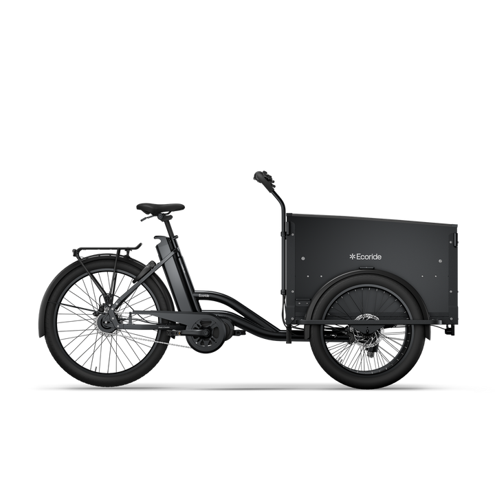 Ecoride Loader Gen3 c401 v.2 (BK31)