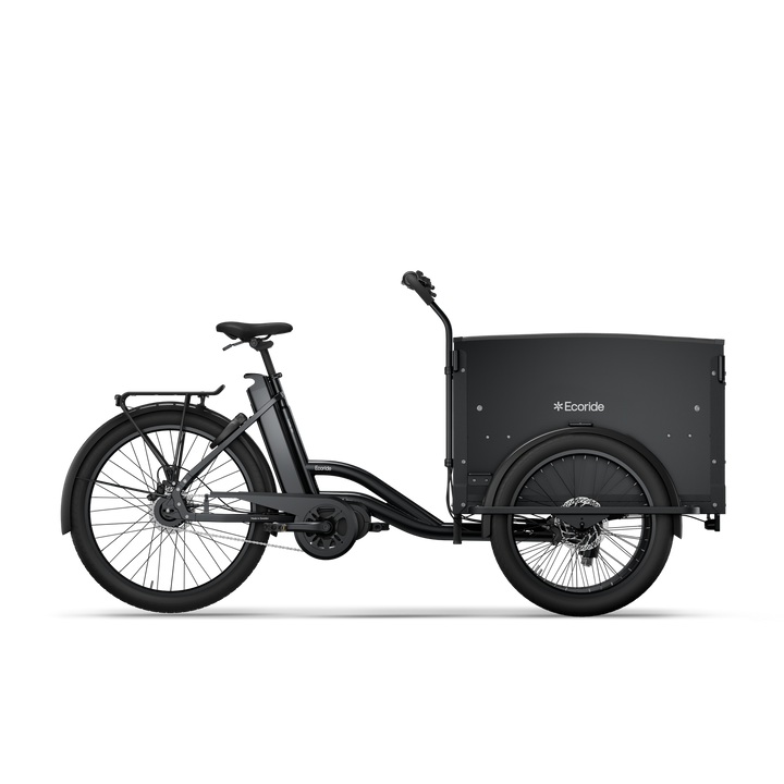 Ecoride Loader Gen3 c401 v.1 (BK30)