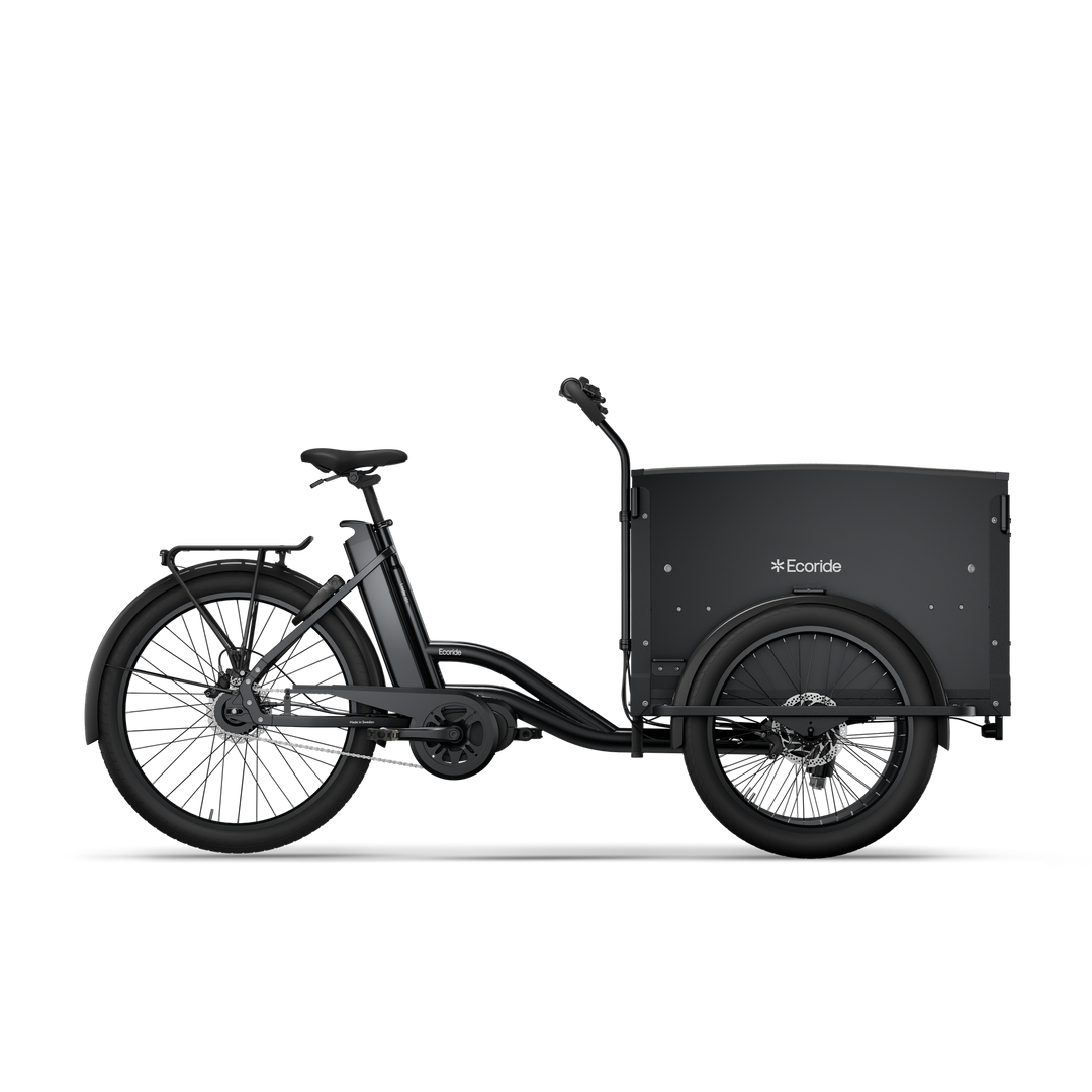 Ecoride Loader Gen3 c401 v.1 (BK30)