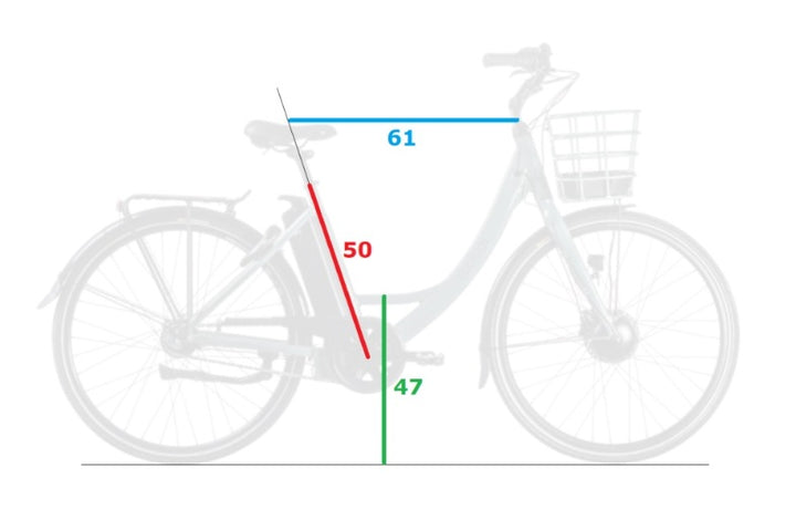 EcoRide Ambassador c100 Gen3 – fargevarianter