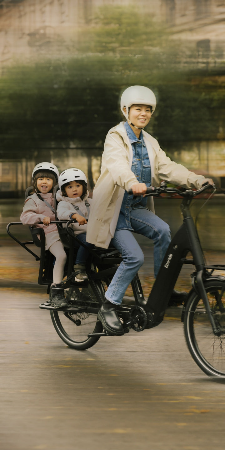 EcoRide Loader c811 Gen4 – lasteplatform
