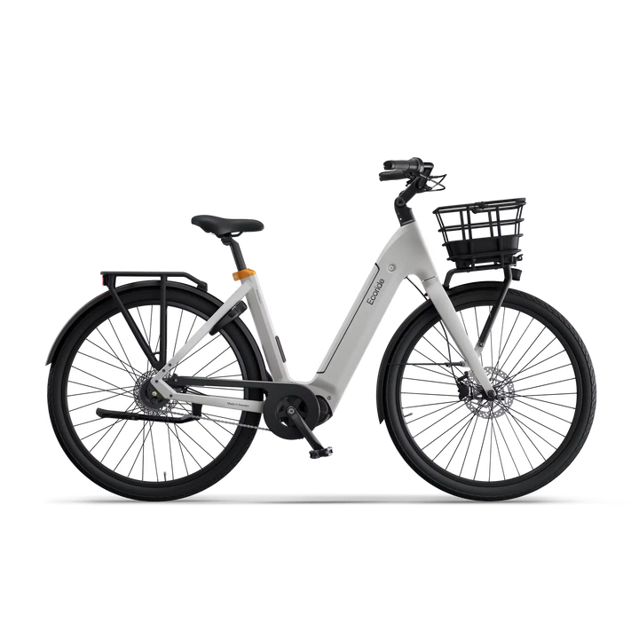 Ecoride Ambassador Gen 4 Eltempo AS