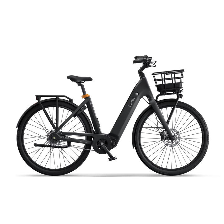 Ecoride Ambassador Gen 4 Eltempo AS